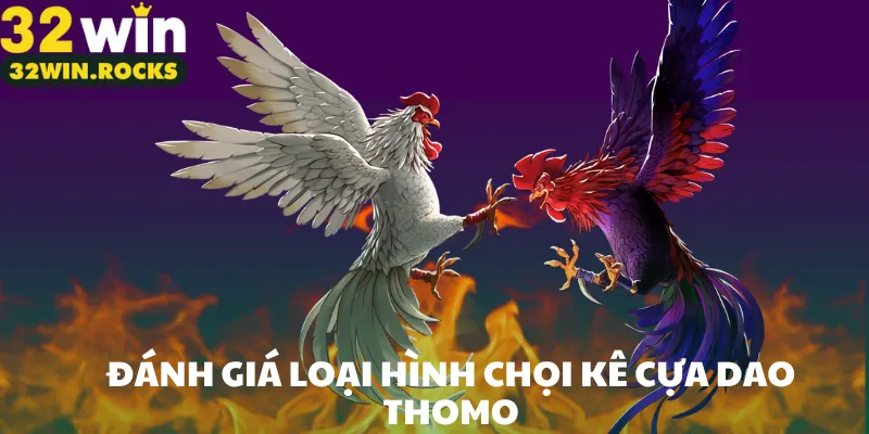 Đánh giá loại hình chọi kê cựa dao thomo