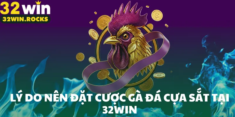 Lý do nên đặt cược gà đá cựa sắt tại 32win