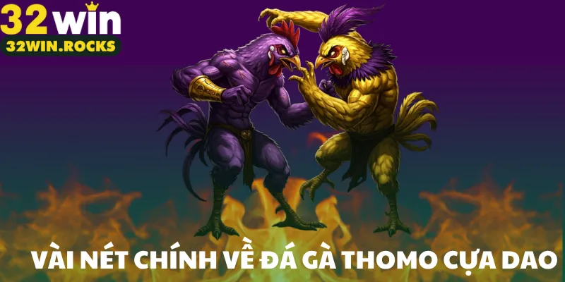 Vài nét chính về đá gà thomo cựa dao